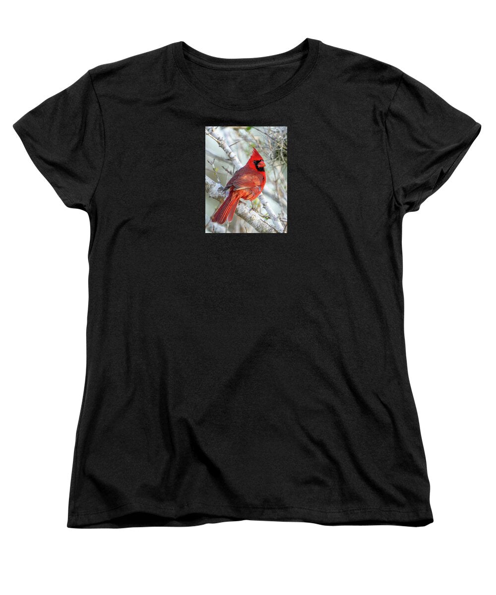 Winters Flame - Women's T-Shirt (Standard Fit)