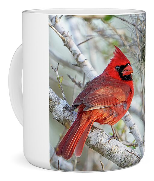 Winters Flame - Mug