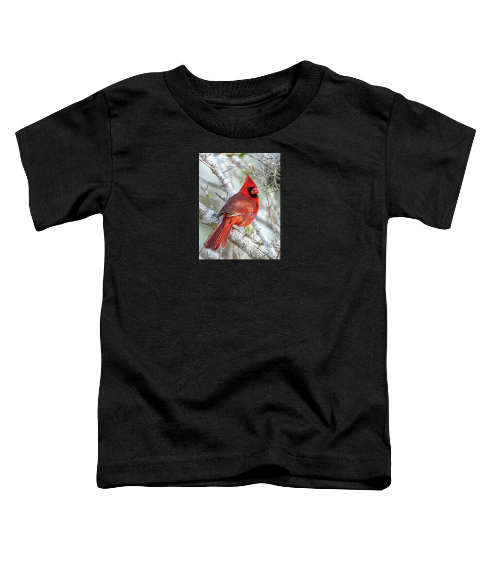 Winters Flame - Toddler T-Shirt