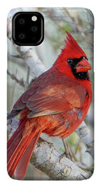Winters Flame - Phone Case