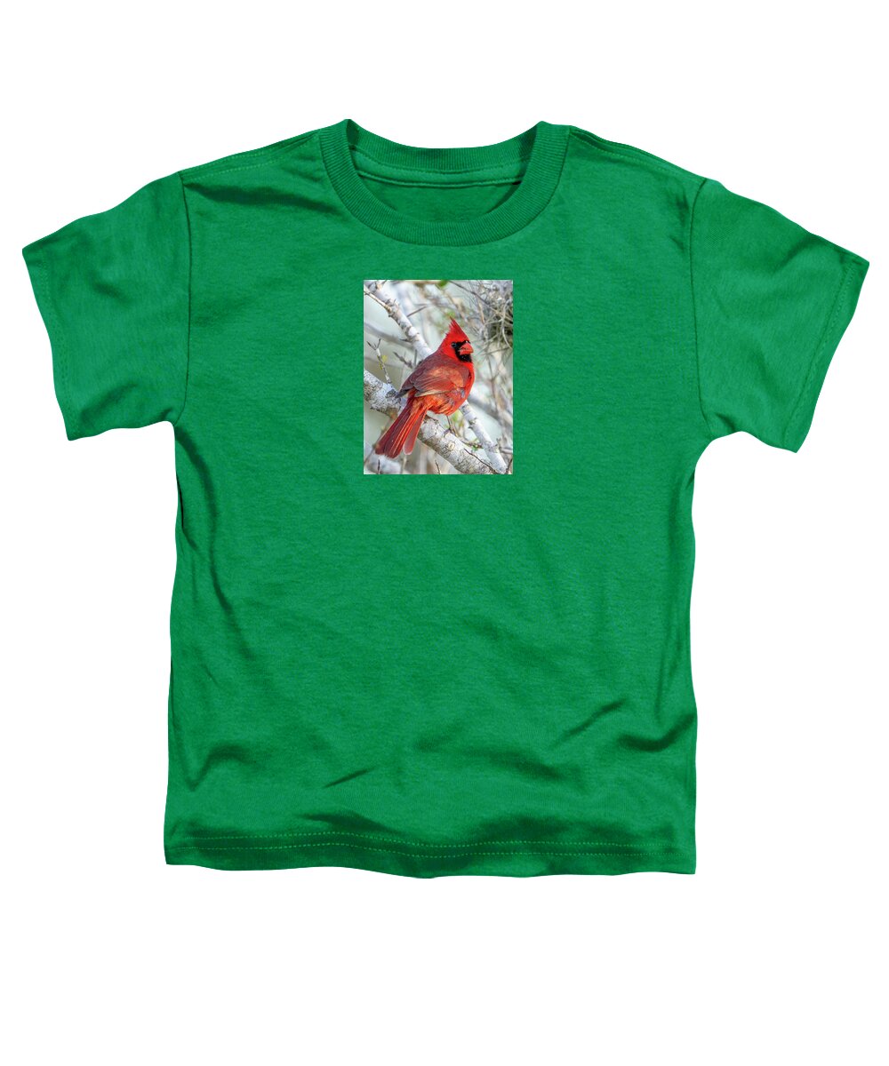 Winters Flame - Toddler T-Shirt