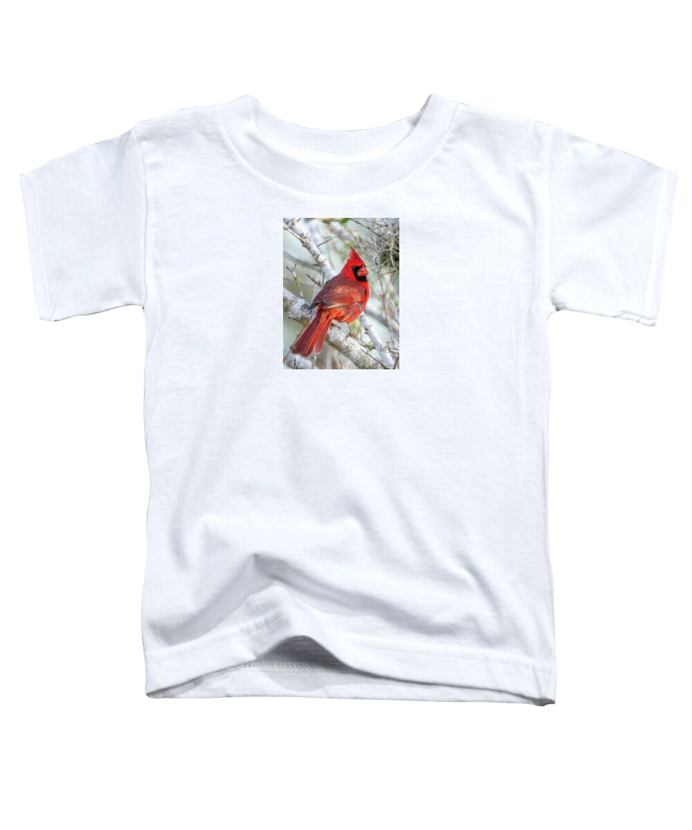 Winters Flame - Toddler T-Shirt