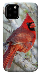 Winters Flame - Phone Case