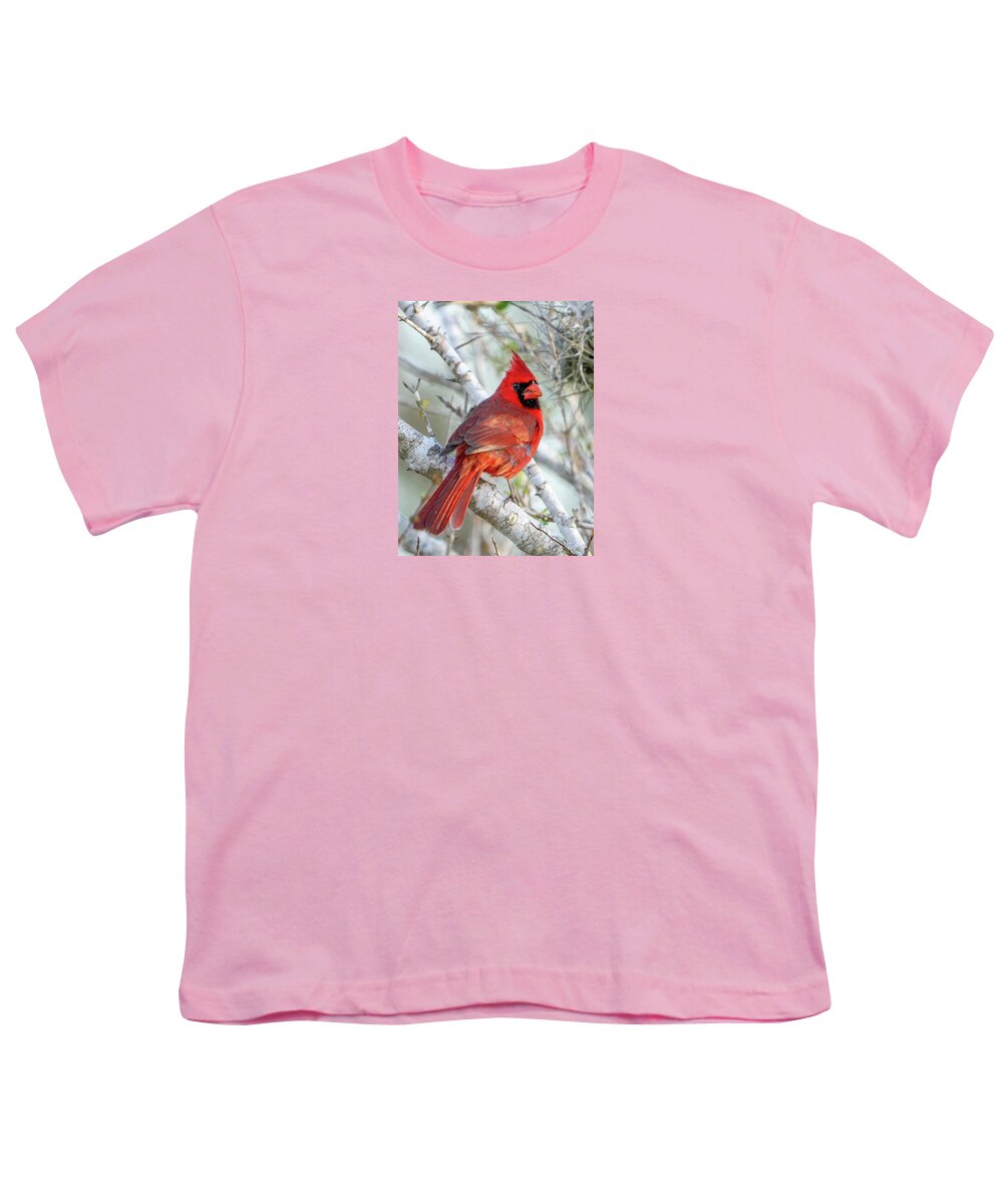 Winters Flame - Youth T-Shirt
