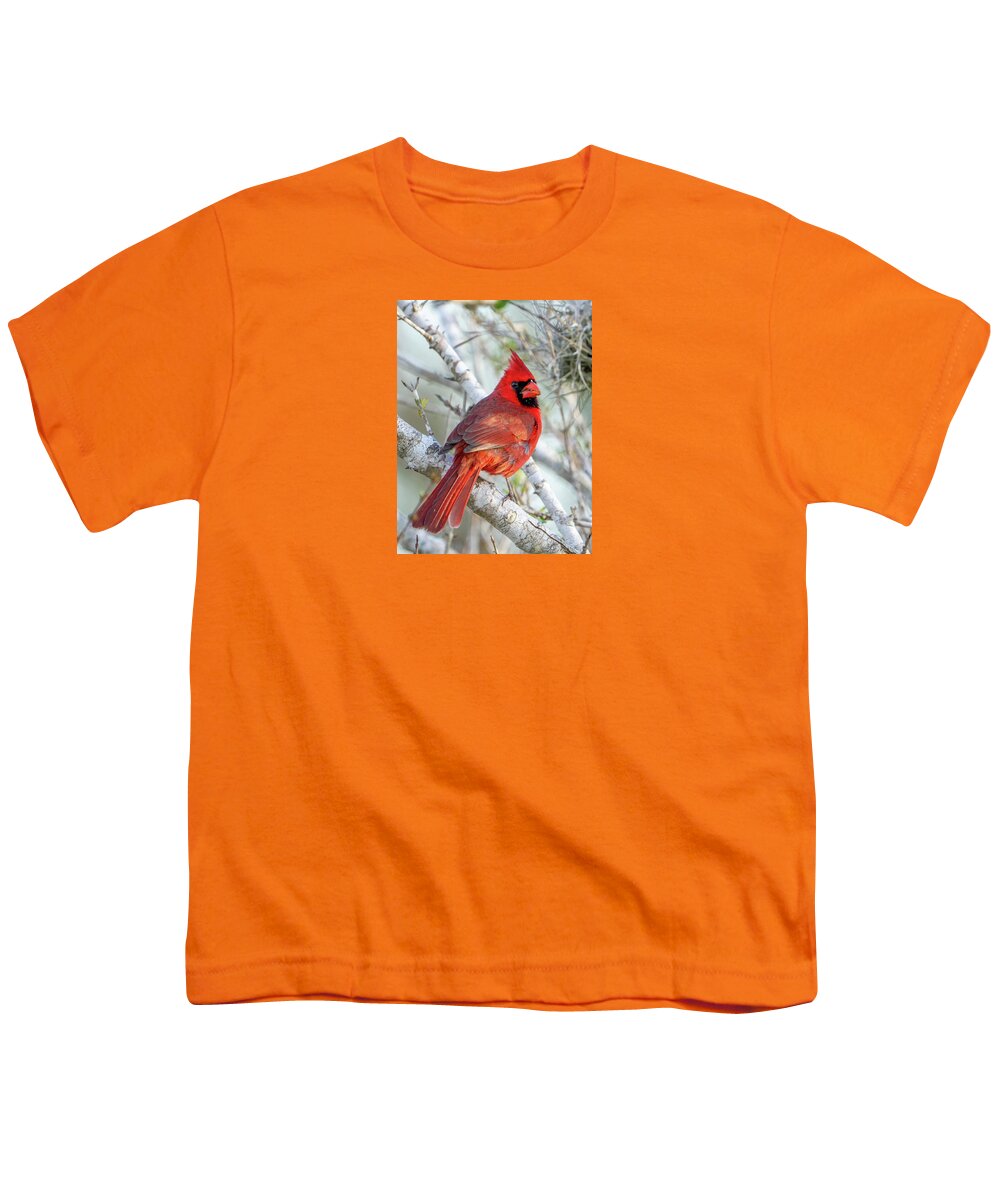 Winters Flame - Youth T-Shirt