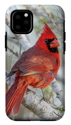 Winters Flame - Phone Case