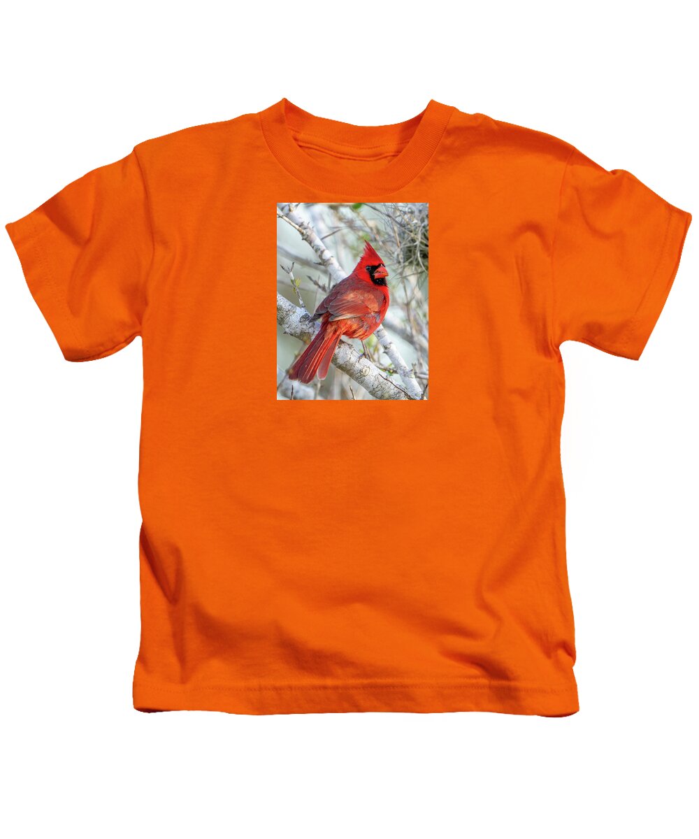 Winters Flame - Kids T-Shirt