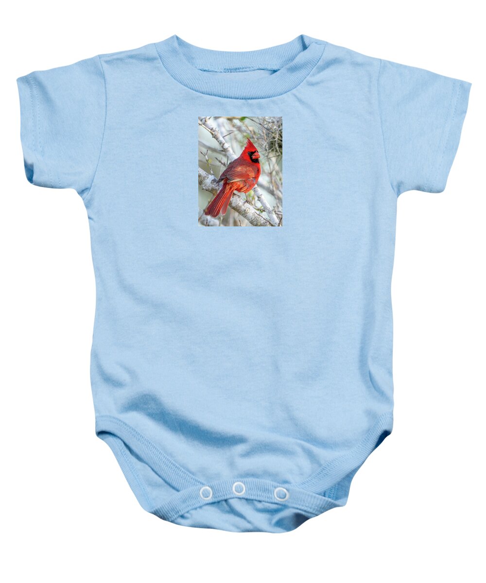 Winters Flame - Baby One-Piece