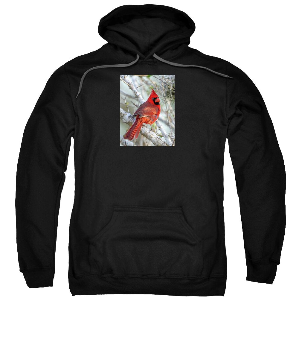 Winters Flame - Sweatshirt