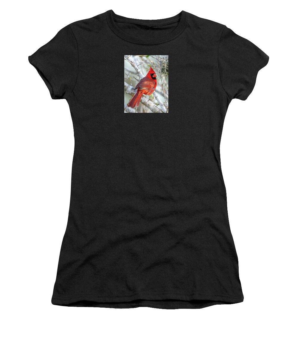 Winters Flame - Women's T-Shirt