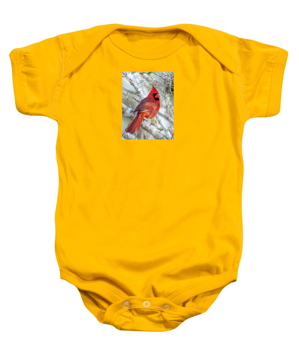 Winters Flame - Baby One-Piece