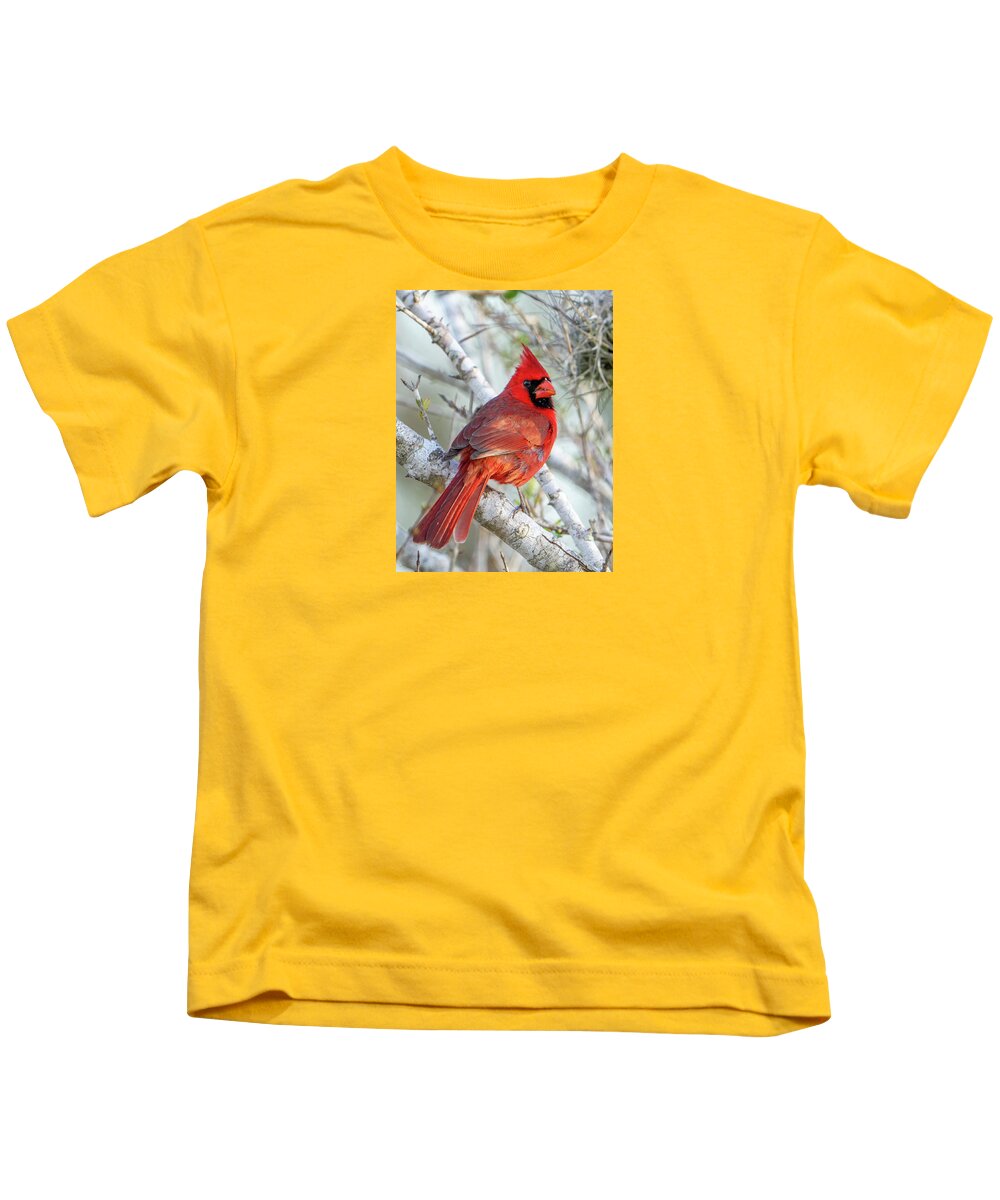 Winters Flame - Kids T-Shirt