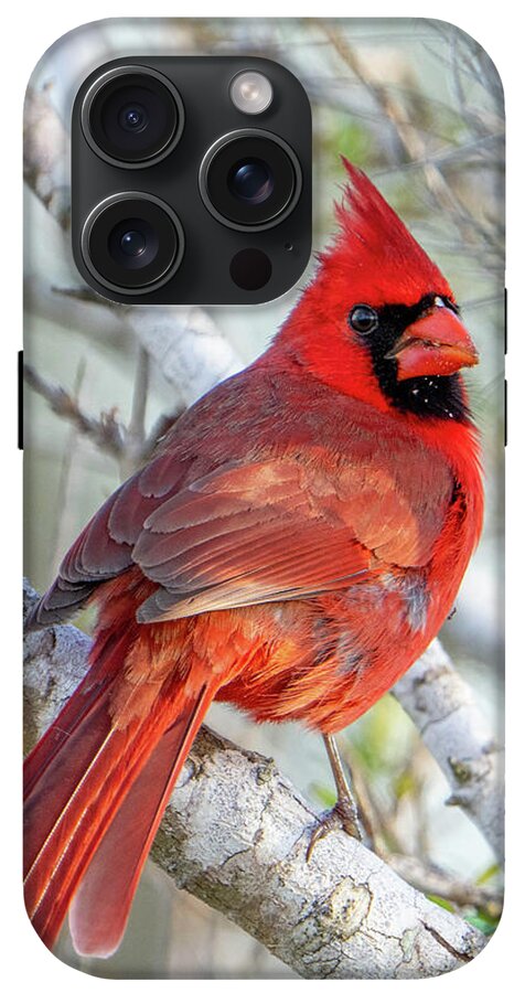 Winters Flame - Phone Case