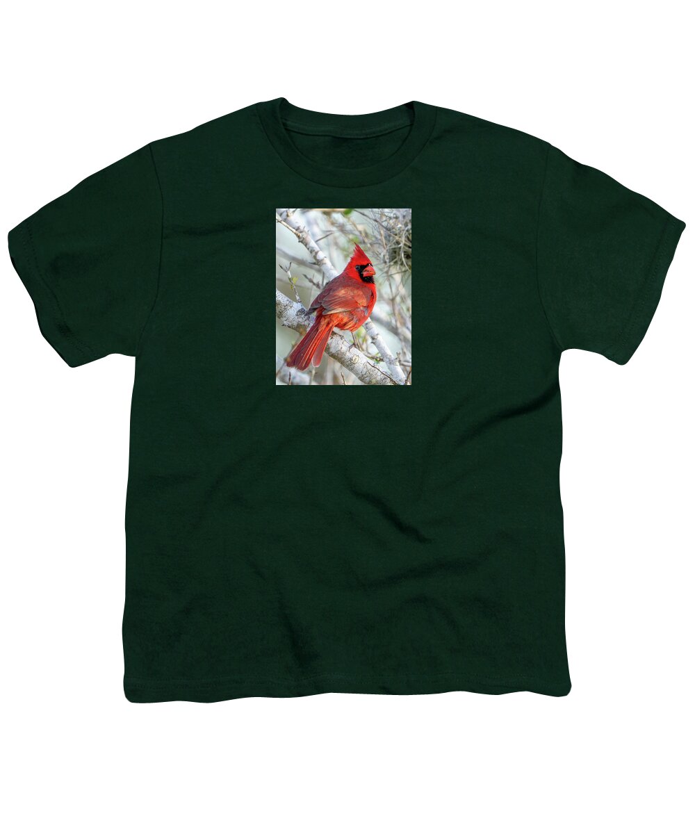 Winters Flame - Youth T-Shirt