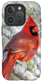 Winters Flame - Phone Case
