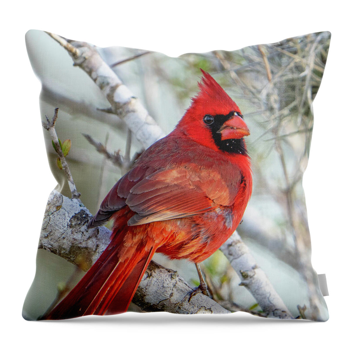 Winters Flame - Throw Pillow