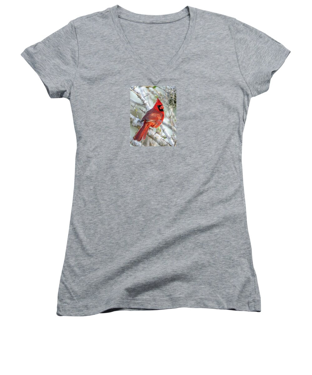 Winters Flame - Women's V-Neck