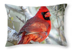 Winters Flame - Throw Pillow