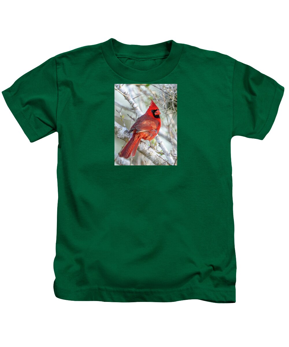 Winters Flame - Kids T-Shirt